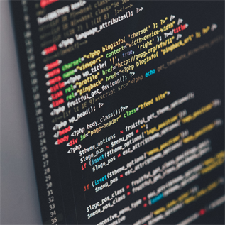 WEBSITE DEVLOPMENT